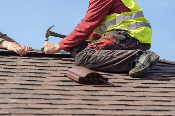 Best Storm Damage Roof Repair  in Rio Grande City, TX